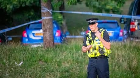 Boy, 10, killed by delivery van as horrified witnesses 'try to pull him out'