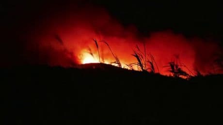 Feux de forêt: un danger toujours "très élevé" dans plusieurs départements ce dimanche