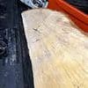 Video 'showing chunk of Sycamore Gap tree taken as a trophy and chainsaw in the boot of suspect's car' is played in court