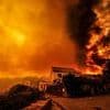 The day the sky burned: Apocalyptic scenes as European wildfires bathe countryside sickly orange, with blazes ravaging Portugal, Spain and Greece