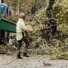 Wie volwassen bomen kapt, berooft de omgeving van schaduw én ziel