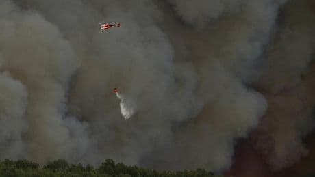 Hitze: Feuerwehrleute kämpfen gegen Waldbrände in Spanien und Frankreich