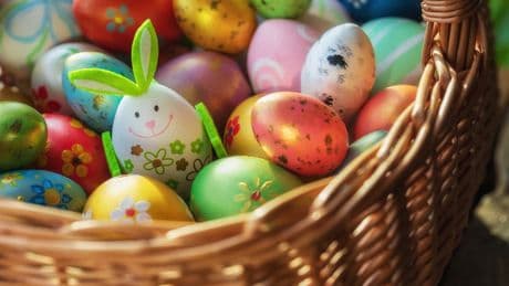 Nearly half of Americans will skip Easter egg traditions due to high prices, survey finds