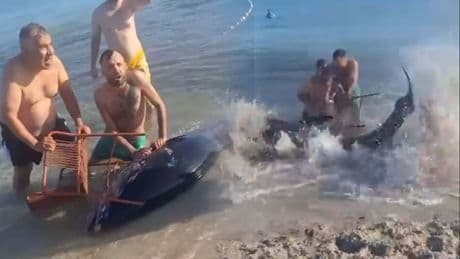 Servet değerinde balık yakaladıklarını sandılar, neye uğradıklarını şaşırdılar
