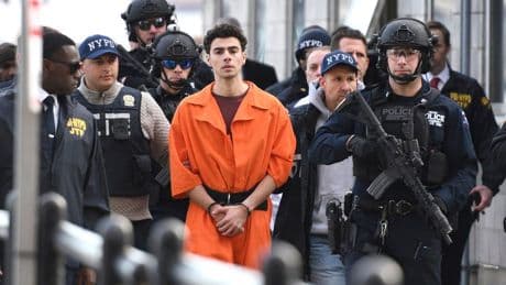 DA says 40 UnitedHealthcare execs got bodyguards, and one dyed her hair after Luigi Mangione killed CEO Brian Thompson