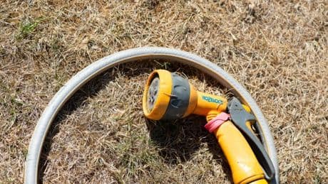 Southern Water becomes latest firm to issue a hosepipe ban for millions
