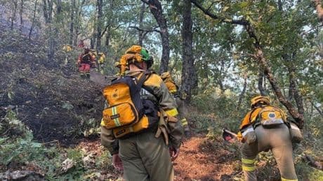 Varios bomberos casi quedan atrapados en Jerte al actuar unos vecinos por su cuenta