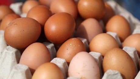 Zam beklerken indirim geldi, marketler fiyat değiştirdi! Yumurta fiyatlarında değişiklik: Vatandaş şaşkına döndü
