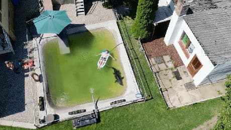 Alligator im Gartenpool: Ungewöhnliche Aufnahmen aus Mecklenburg-Vorpommern