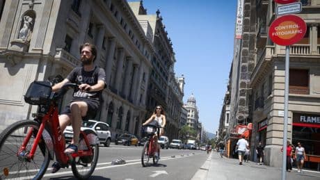 La fobia a los árboles