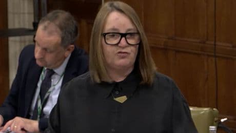 Claims male MSPs paid a prostitute for sex raised by Scots MP in Westminster