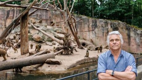 Zoo in Aalborg, Tiergarten Nürnberg: Sind Haustierspenden und Pavian-Tötungen in Ordnung?
