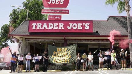 Trader Joe’s are being targeted by ‘extreme’ animal rights groups in California - with protestors allegedly posing as employees