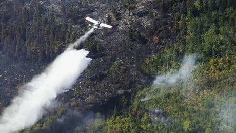 Large wildfire in Nova Scotia’s Annapolis Valley remains ‘out of control’