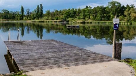 Die besten Witzbilder der WELT – Die nächste Wildtier-Panik