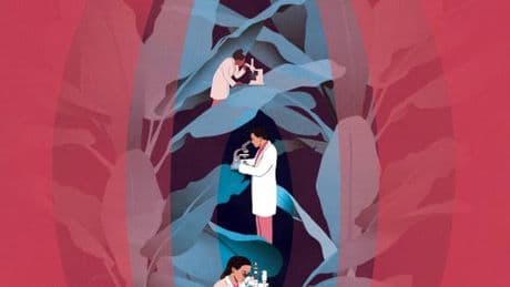 Le microbiote vaginal, l’écosystème trop peu connu qui régule la santé des femmes