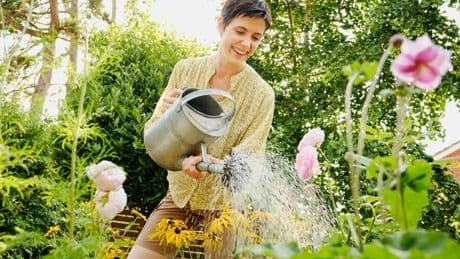 Expert reveals best ways to save water while keeping gardens green and lush this summer