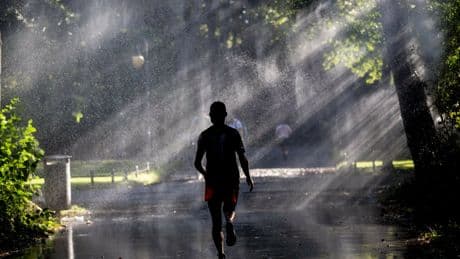 Triathlon | Der Mann mit dem Plan