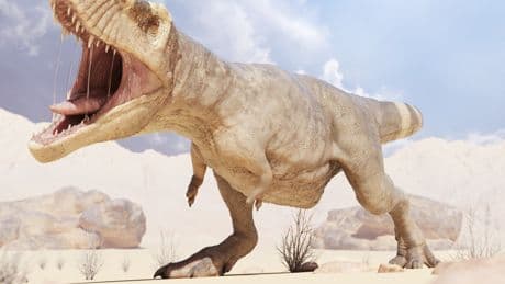 Sag mal, wo kommt Ihr denn her? Vorfahre des T-Rex ist kein Amerikaner!