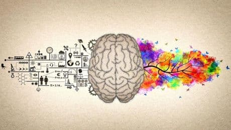 Why We Need Double Literacy To Life In A Hybrid World