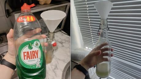 I Tried Reddit's Vinegar Hack To Banish Flies, And I'll Never Buy Traps Again