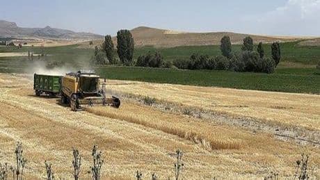 Ekili tarım arazisi yüzde 22 artan Kayseri'de üretici sayısı 32 bine ulaştı