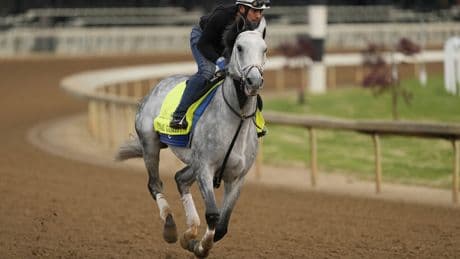 TwinSpires Promo Code POSTRACING for 2025 Kentucky Derby: Picks, exactas, trifectas, and superfectas