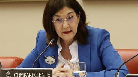 Competencia defiende que hubo un «diálogo intenso» con todas las partes en su análisis de la opa