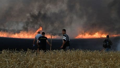 Bulgarie : la colère monte contre le manque de préparation face aux incendies