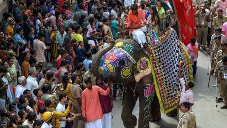 Chaos in India as elephants rampage through streets trampling on locals