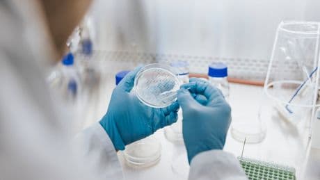 Warning over killer fungus which could infect millions as it spreads across Europe
