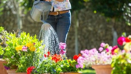 Scottish Water calling on West Lothian locals to use water as efficiently as possible
