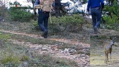 Karabük'te fotokapana yansıyan iki adam ekipleri harekete geçirdi!