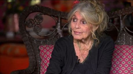 Cinéma, défense des animaux: découvrez en exclusivité l'interview de Brigitte Bardot sur BFMTV ce lundi à 7h45