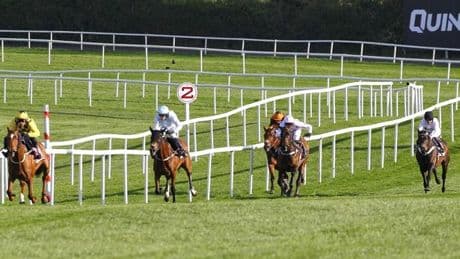 "He'll be back" - Constitution Hill retirement talk quashed by trainer Nicky Henderson