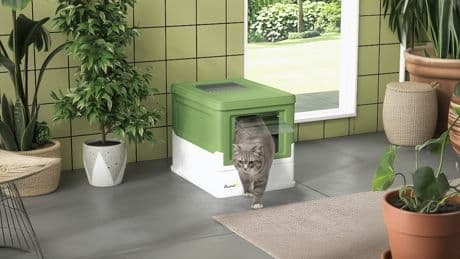 Frischer Deal für Stubentiger: Netto halbiert den Preis dieser Katzentoilette