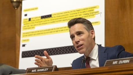 Hawley investigates groups allegedly linked to L.A. rioters