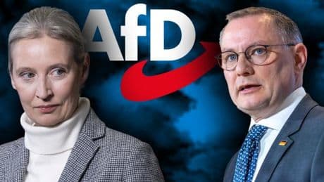 Diese konkreten Beispiele sollen Rechtsextremismus der AfD belegen