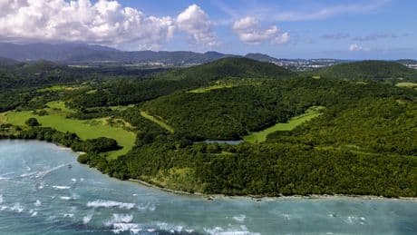 Americans are moving to Puerto Rico for the lifestyle &mdash; and staying for the low taxes
