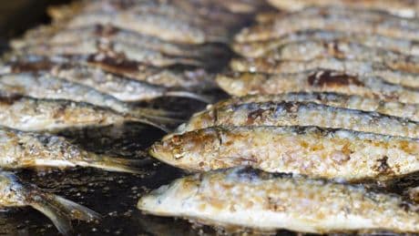 Ni con la campana a tope ni en la terraza: el sencillo truco que uso para asar las sardinas sin que huela toda la casa