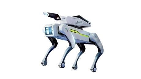 Compra un perro-robot barato en Temu y lo que le llega es aún más raro de lo que se podría esperar