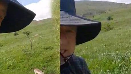 Sıra dışı anlar! Mantar toplamaya çıktı şaşkına döndü
