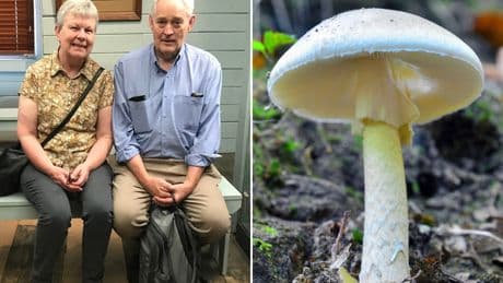 Sole survivor from toxic mushroom-laced meal testifies at murder trial