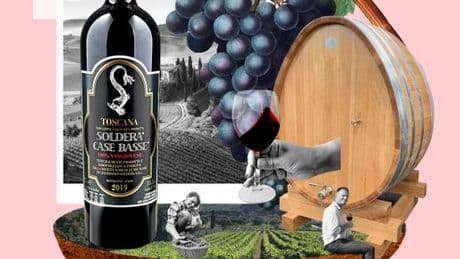 Le domaine viticole Soldera, une île mystérieuse au cœur de la Toscane