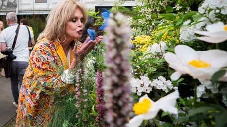 'It's so Chelsea': how Sir Brian May stepped to one side for my Japanese garden picture