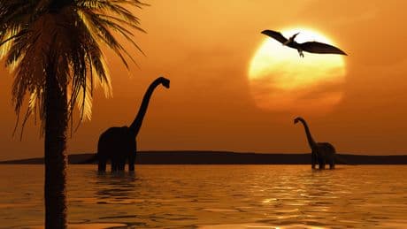 Archivfoto enthüllt neuen Dino: 10-Meter-Räuber mit Nasenhorn entdeckt