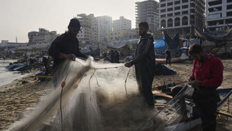 «Le système agricole n’existe plus»: à Gaza, seulement 4,6% des terres sont cultivables