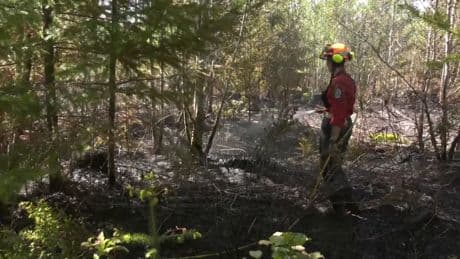 Early-season Campbell River wildfire prompts warning ahead of long weekend