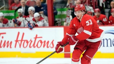 NHL-Stars verstärken die Nationalmannschaft