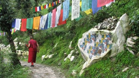 «Nous risquons une extermination de notre culture» : au Tibet, Xi Jinping impose une sinisation à marche forcée